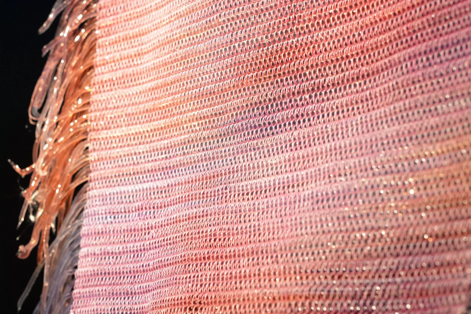Détail macro du textile SEALICONE : des lamelles de silicone rose et irisé tissées serré.